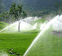 ���_(t��i)����