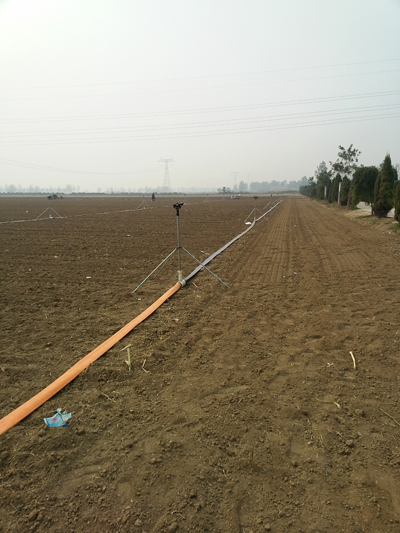 ���_(t��i)����